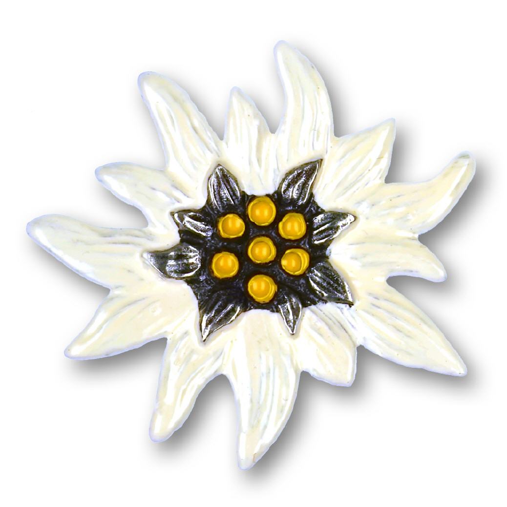 Zinn-Anstecker Edelweiss gross
