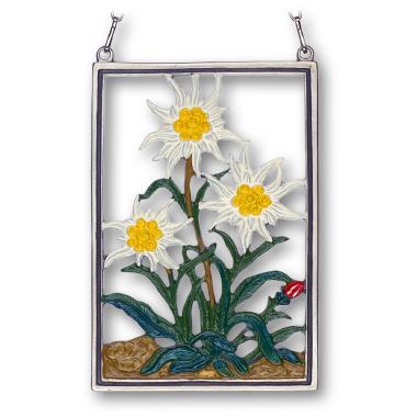 Zinnbild Blumen Edelweiss